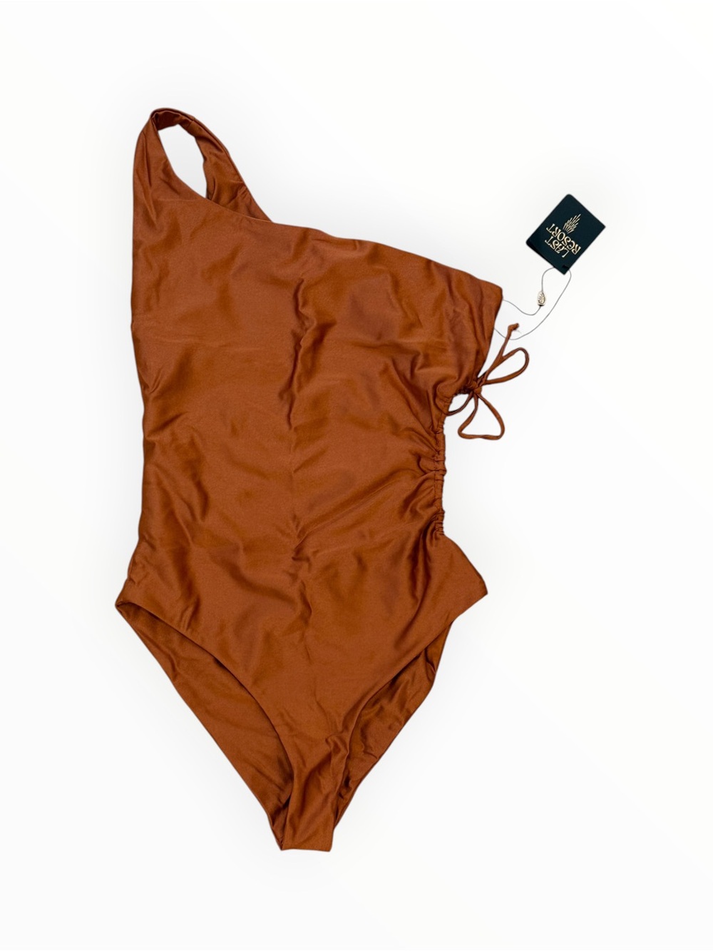 JADE Swim Sena One Piece - Bronze Sheen